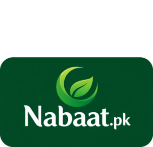 nabaat.pk logo footer
